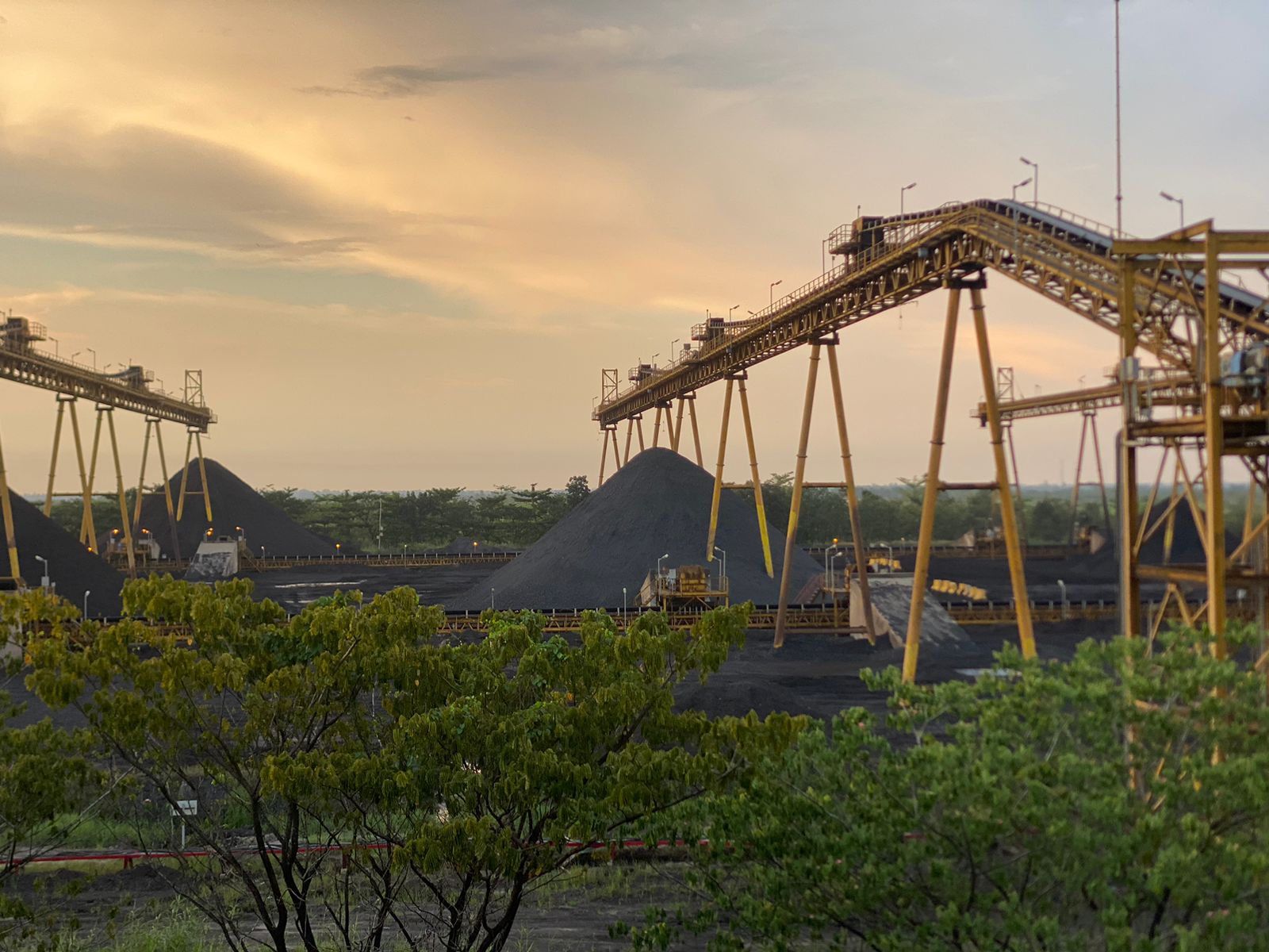 Aktivitas Stockpile Batubara pada Malam Hari